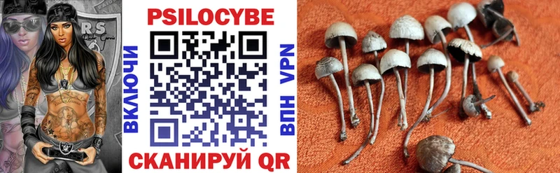 Псилоцибиновые грибы ЛСД  omg сайт  Трёхгорный  как найти наркотики 